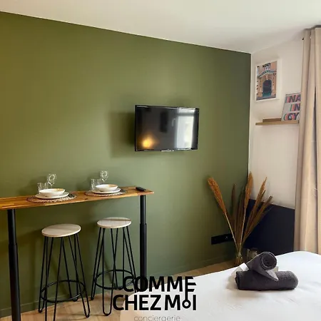 Le 218 Moderne Et Entièrement équipé à Nancy, Avec Garage Privatif