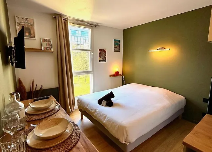 Le 218 Moderne Et Entièrement équipé à Nancy, Avec Garage Privatif Appartement Nancy