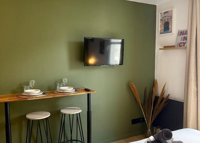 Le 218 Moderne Et Entièrement équipé à Nancy, Avec Garage Privatif