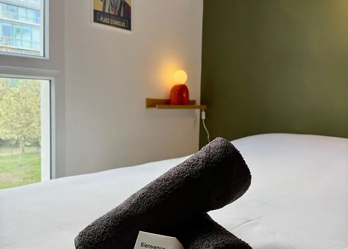 Le 218 Moderne Et Entièrement équipé à Nancy, Avec Garage Privatif